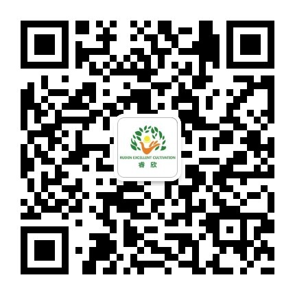 深圳市睿欣教育服务有限公司
